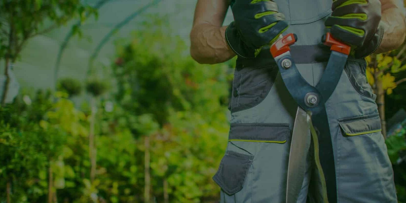 A person in grey overalls and gloves holds large garden shears in a lush green garden, surrounded by plants and shrubs.